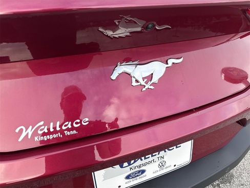 New 2025 Ford Mustang Premium image 6