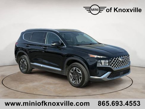 Used 2022 Hyundai Santa Fe Blue AWD/4WD image 1