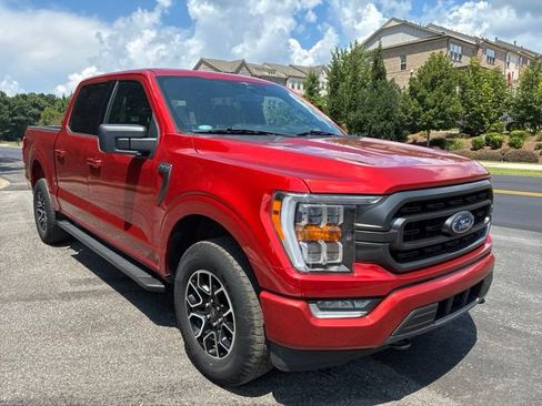 Used 2023 Ford F150 XLT w/ Equipment Group 302A High AWD/4WD image 4