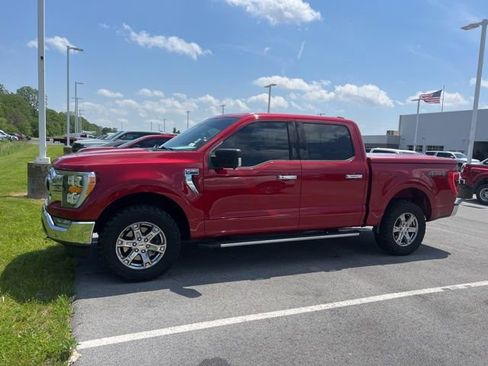 Used 2021 Ford F150 XLT w/ Equipment Group 302A High AWD/4WD image 1