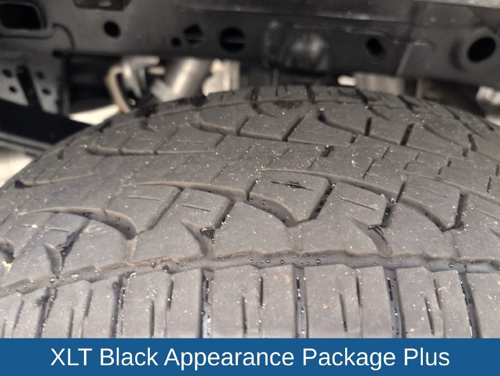 Used 2025 Ford F150 XLT w/ Equipment Group 302A MID AWD/4WD image 19