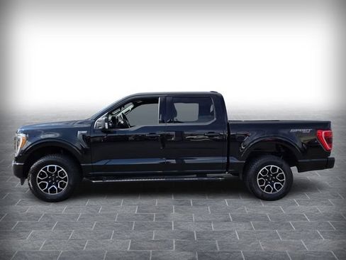 Used 2023 Ford F150 XLT w/ Equipment Group 302A High AWD/4WD image 4