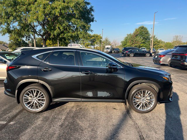 Used 2025 Lexus NX 350 AWD w/ Cold Area Package image 2