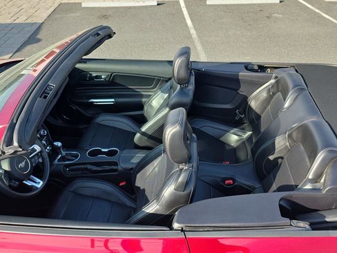 Used 2019 Ford Mustang GT Premium w/ Equipment Group 401A image 4