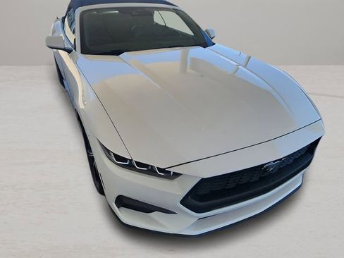 Used 2024 Ford Mustang Premium image 19