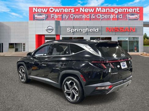 Used 2024 Hyundai Tucson Limited AWD/4WD image 5