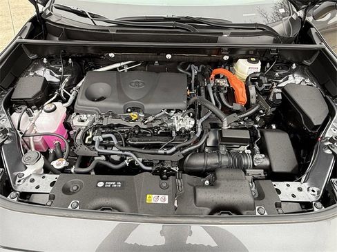 Certified 2025 Toyota RAV4 LE image 24