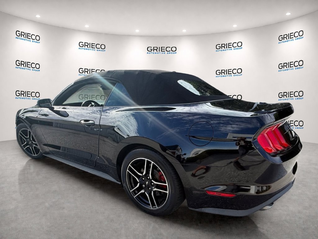 Used 2020 Ford Mustang Premium w/ Equipment Group 201A RWD image 5