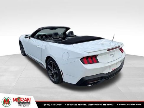 Used 2024 Ford Mustang Premium RWD image 4