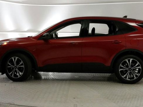Used 2021 Ford Escape SE w/ SE Sport Appearance Package FWD image 6
