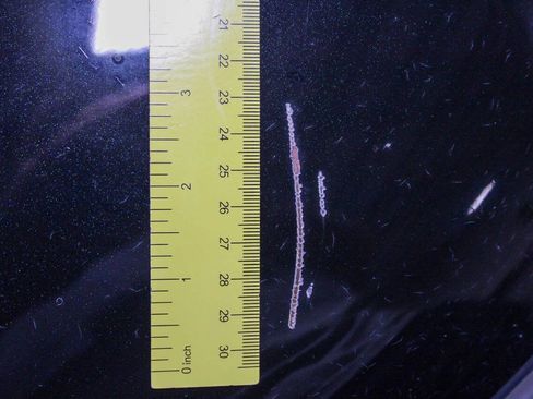 Used 2005 Subaru Baja Turbo image 32