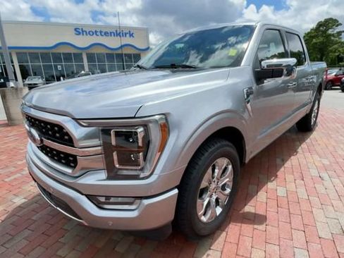 Used 2023 Ford F150 Platinum RWD image 5