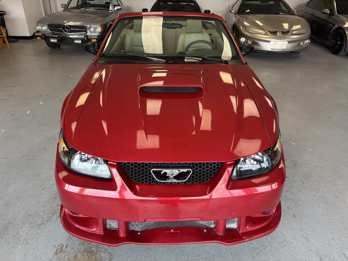 Used 2001 Ford Mustang GT RWD image 10