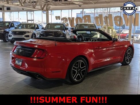 Used 2018 Ford Mustang Premium image 12