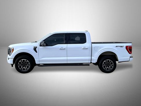 Used 2023 Ford F150 XLT w/ Equipment Group 302A High AWD/4WD image 8