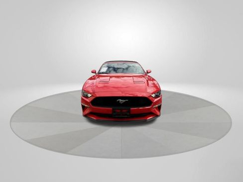 Used 2023 Ford Mustang Premium w/ Equipment Group 201A image 2