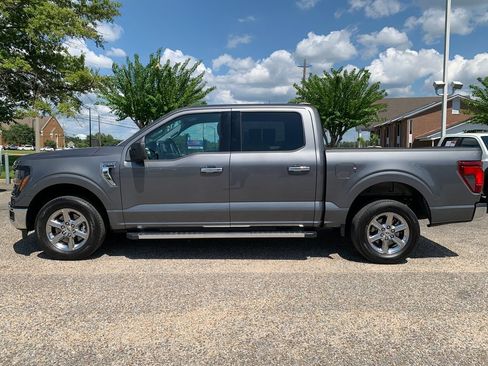 Used 2025 Ford F150 XLT w/ Equipment Group 301A Standard RWD image 6
