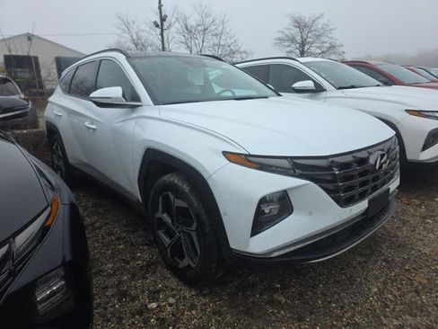 Used 2023 Hyundai Tucson Limited image 5
