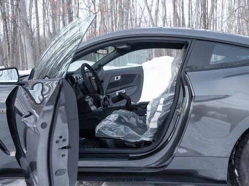 Used 2015 Ford Mustang Shelby GT350 image 41