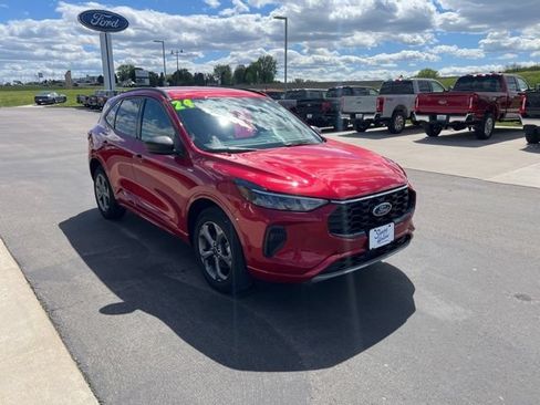 Used 2024 Ford Escape ST-Line w/ Tech Pack #1 AWD/4WD image 3