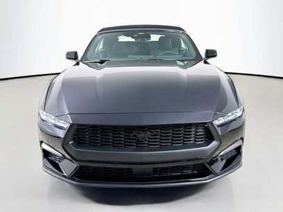 New 2025 Ford Mustang Convertible w/ Mustang Nite Pony Package