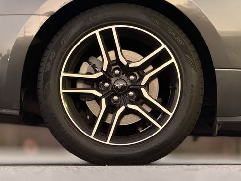 Used 2019 Ford Mustang Premium image 19