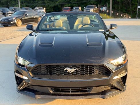 Used 2018 Ford Mustang Premium RWD image 2