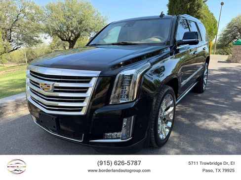 Used 2019 Cadillac Escalade Platinum AWD/4WD image 1