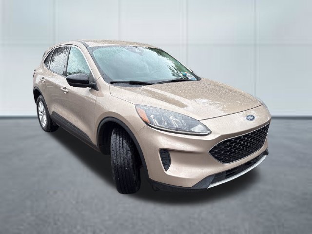 Used 2020 Ford Escape SE AWD/4WD image 5