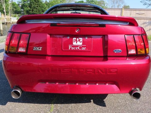 Used 1999 Ford Mustang Cobra RWD image 16