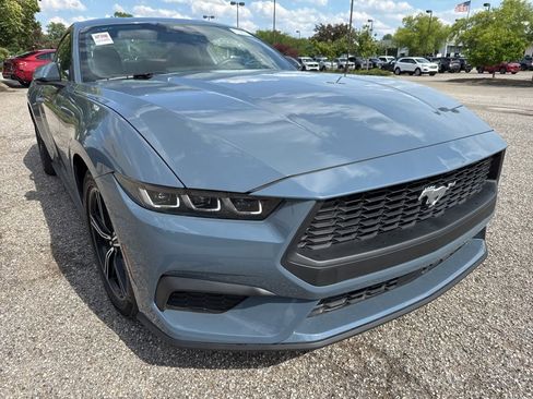Used 2025 Ford Mustang Premium RWD image 13