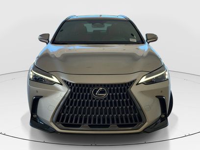 Used 2026 Lexus NX 350 AWD w/ Cold Area Package