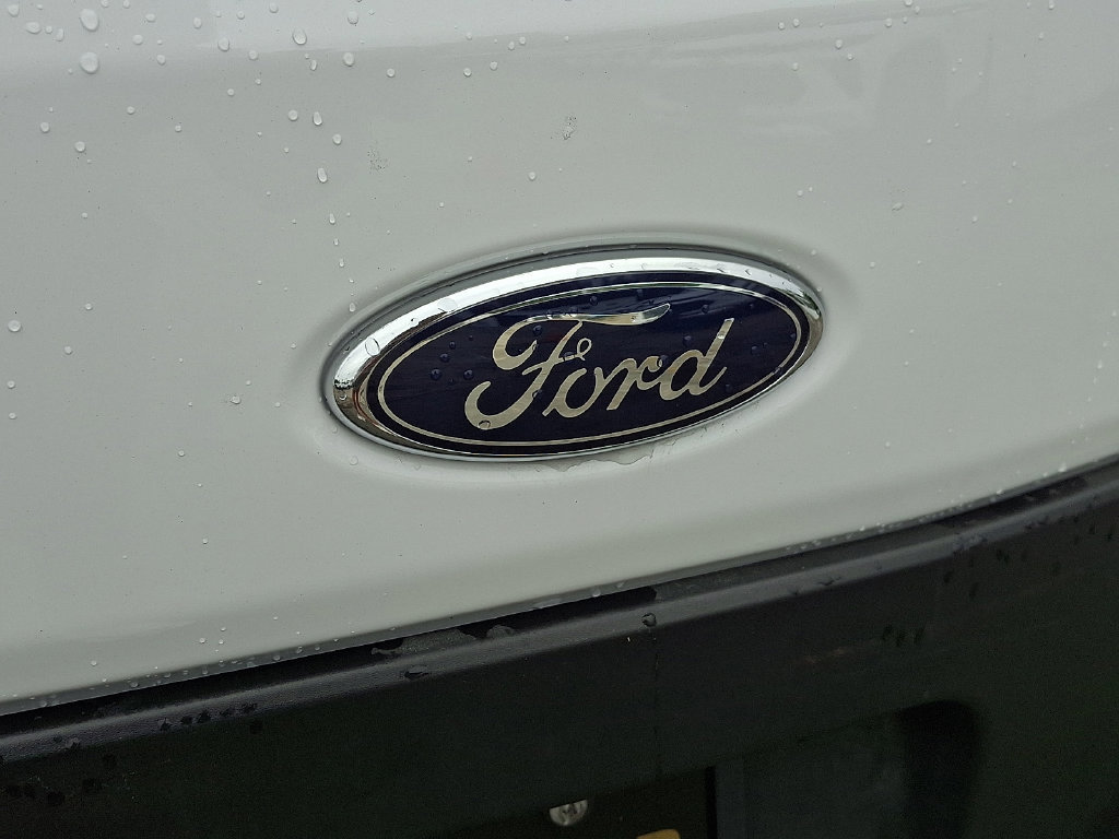 Used 2025 Ford Transit 250 Low Roof w/ Exterior Upgrade Package RWD image 33