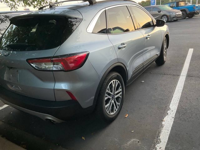 Used 2022 Ford Escape SEL w/ Technology Package FWD image 6