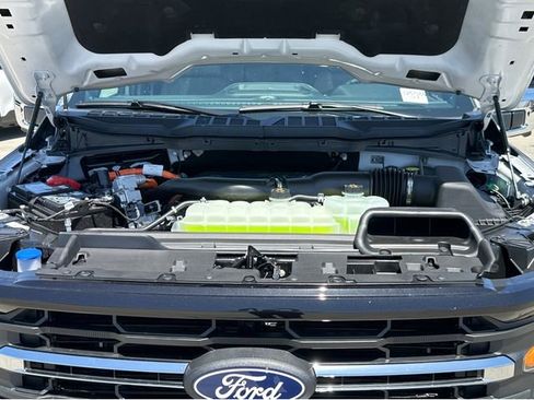 New 2025 Ford F150 XLT w/ Equipment Group 302A MID image 41