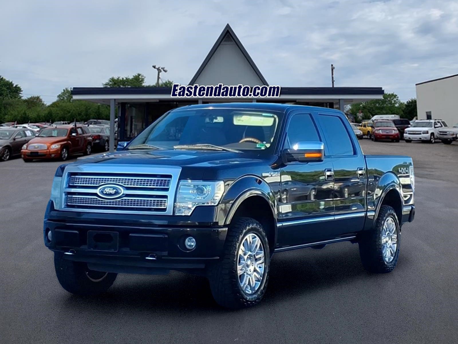 Used 2010 Ford F150 Platinum AWD/4WD image 1