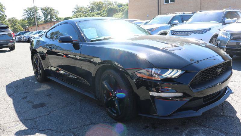 Used 2019 Ford Mustang Coupe RWD image 3