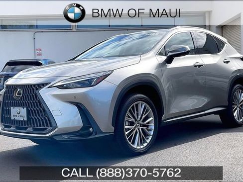 Used 2025 Lexus NX 350h AWD w/ Premium Package image 1