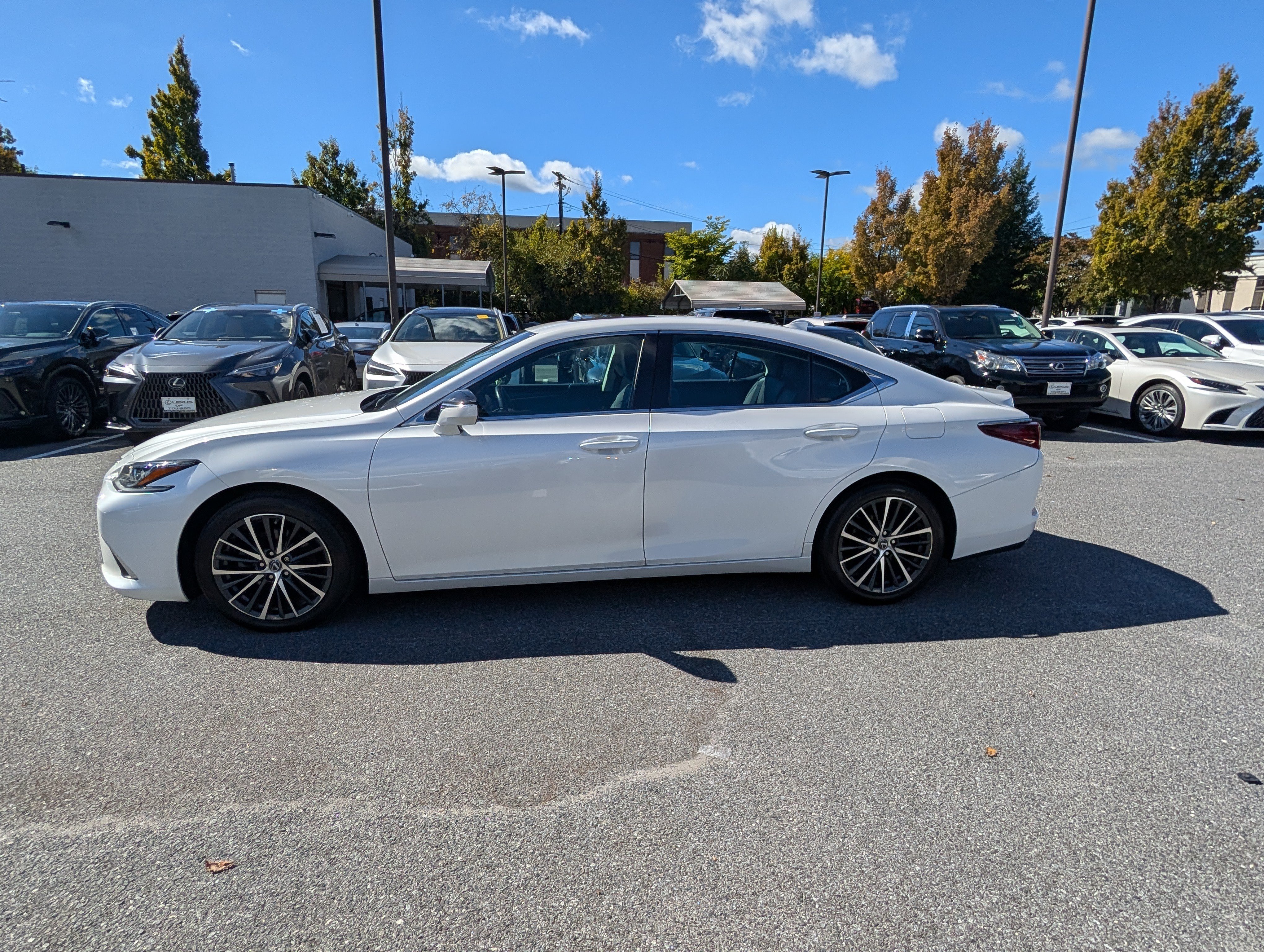 Used 2023 Lexus ES 350 w/ Premium Package FWD image 6