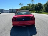 Used 2018 Ford Mustang Premium w/ Equipment Group 201A image 6