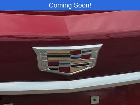 Used 2025 Cadillac XT5 Premium Luxury AWD/4WD image 11