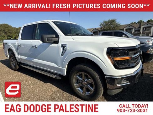 Used 2025 Ford F150 XLT w/ Equipment Group 301A Standard AWD/4WD image 1