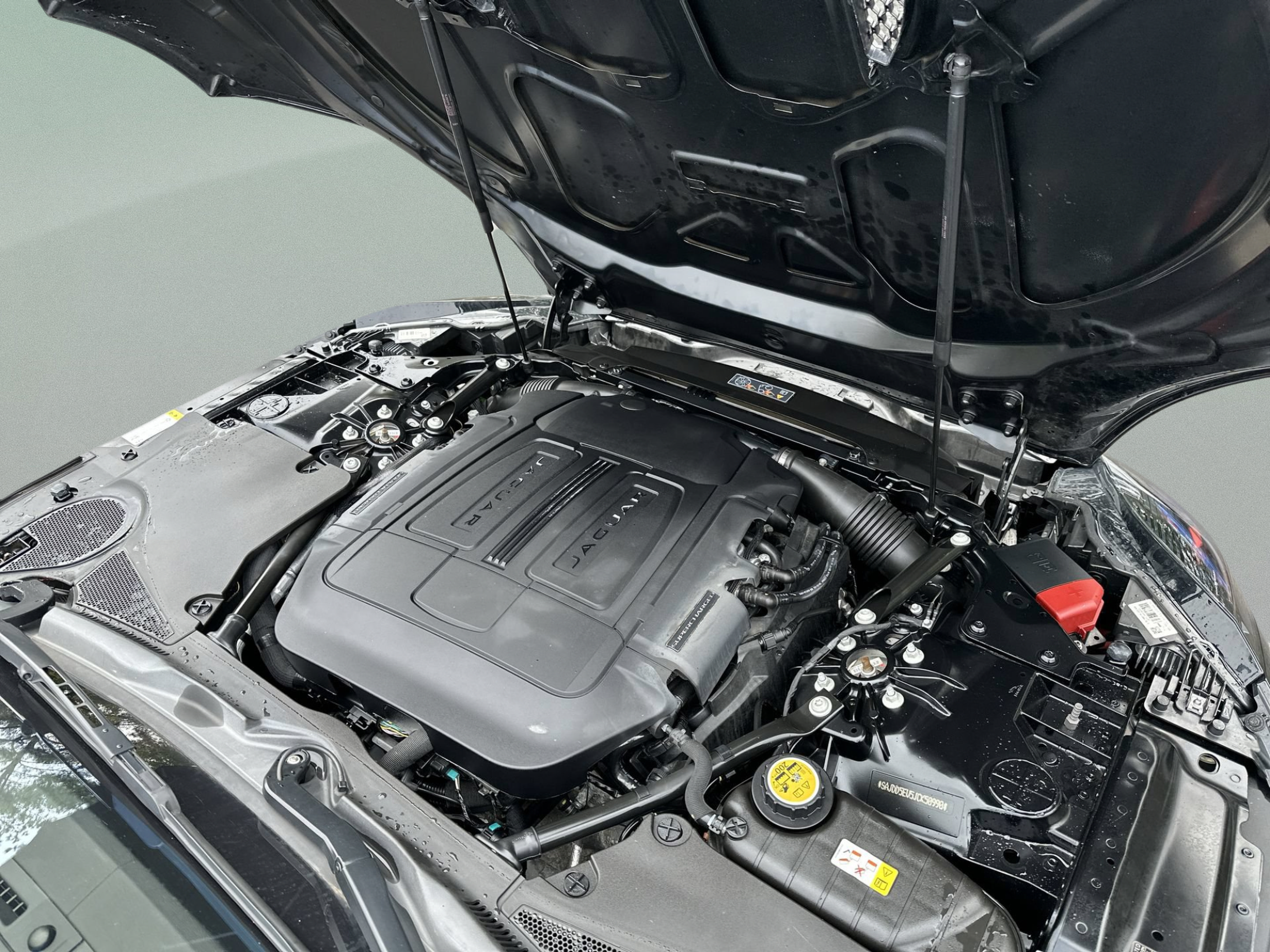 Used 2018 Jaguar F-TYPE Convertible RWD image 24