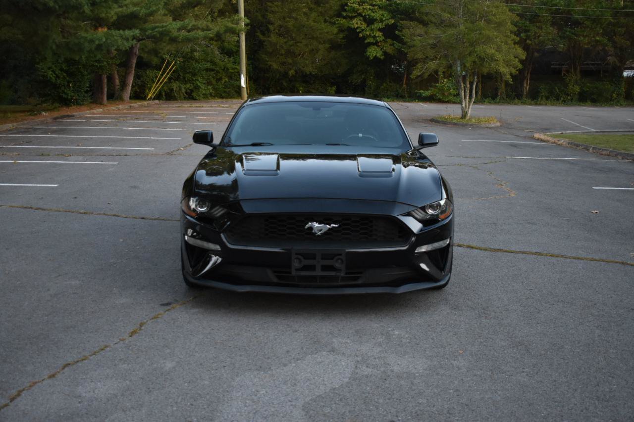 Used 2019 Ford Mustang Coupe RWD image 11