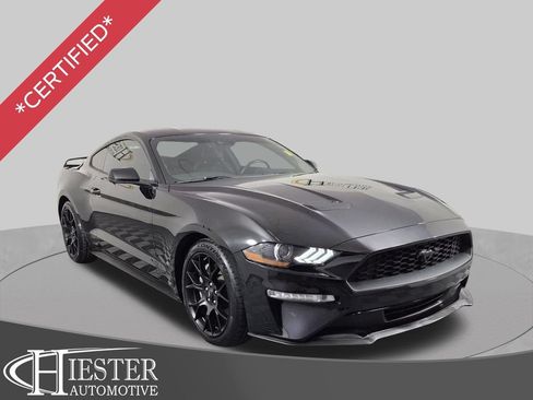 Used 2019 Ford Mustang Premium w/ Ecoboost Performance Package RWD image 1