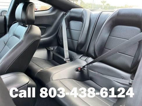 Used 2023 Ford Mustang GT Premium w/ Mustang Nite Pony Package image 9