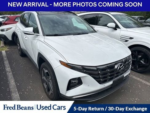 Used 2023 Hyundai Tucson Limited AWD/4WD image 14
