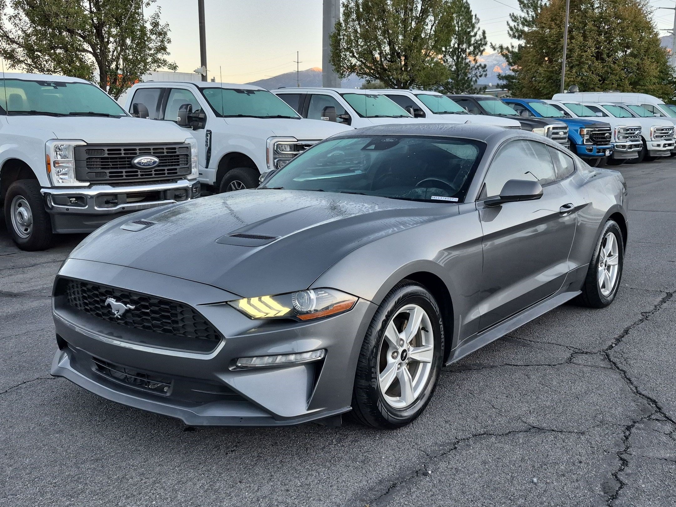 Used 2021 Ford Mustang Coupe RWD image 11