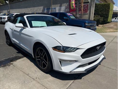 Used 2023 Ford Mustang Premium RWD image 3