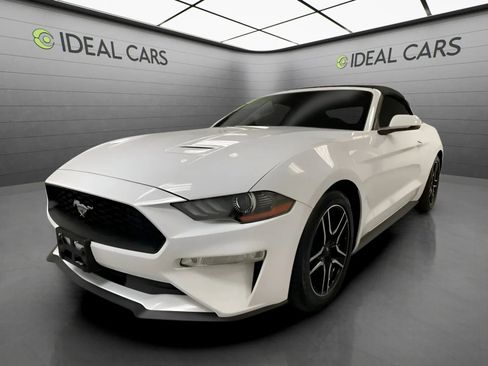 Used 2019 Ford Mustang Premium RWD image 1